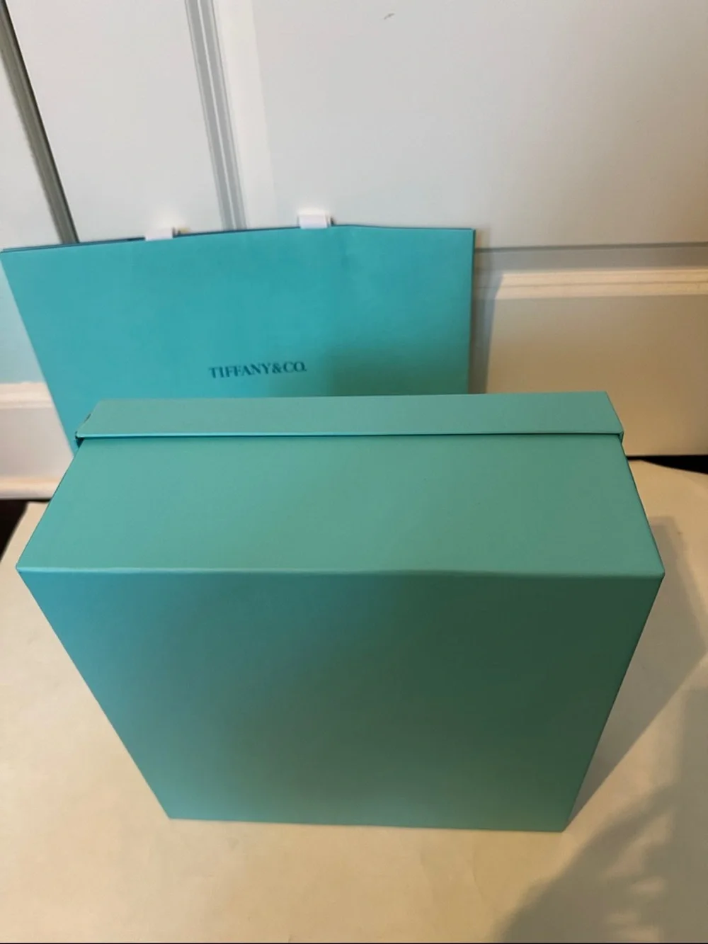 Large Tiffany & Co. Blue Gift Box and Shopping Bag